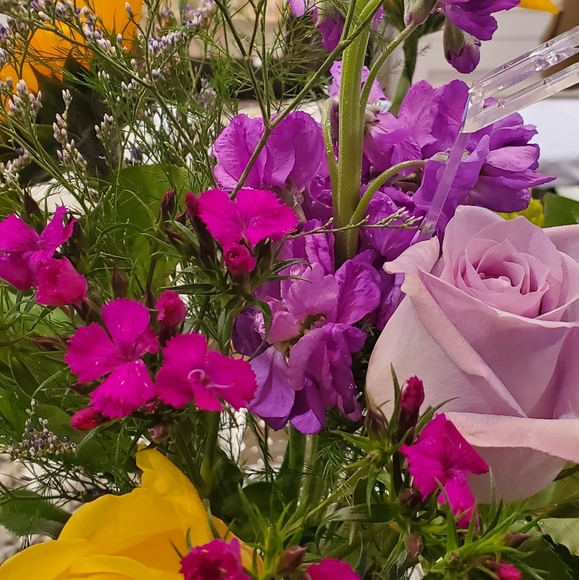 Meet your Posher, Debra - Picture 2 of 2